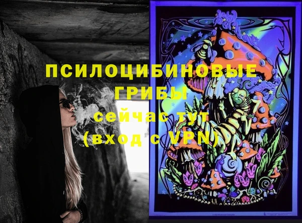 МДПВ Армянск